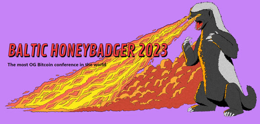 Подготовка к Baltic Honeybadger 2023